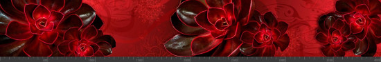 Стеновая панель фотопечать (цветы и растения) 144546