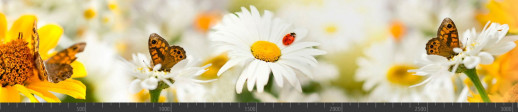 Стеновая панель фотопечать (животный мир) 105056