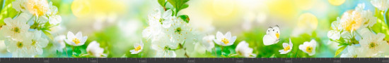 Стеновая панель фотопечать (цветы и растения) 144649