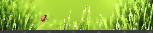 Стеновая панель фотопечать (животный мир) 105060