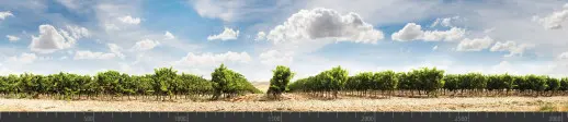 Стеновая панель фотопечать (панорамы природы) 103008