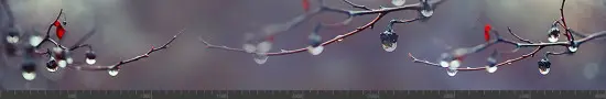 Стеновая панель фотопечать (цветы и растения) 144853