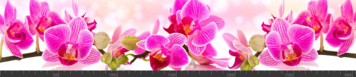 Стеновая панель фотопечать (цветы и растения) 104153