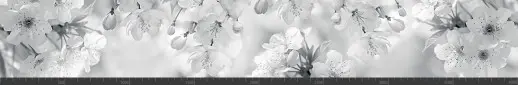 Стеновая панель фотопечать (цветы и растения) 144756