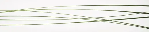 Стеновая панель Albico глянец F-34
