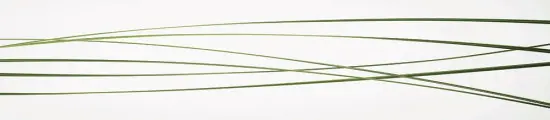 Стеновая панель Albico глянец F-34