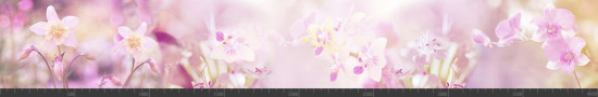 Стеновая панель фотопечать (цветы и растения) 144561