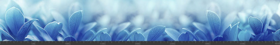 Стеновая панель фотопечать (цветы и растения) 144563