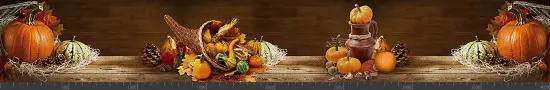 Стеновая панель фотопечать (кухонная тематика) 141023