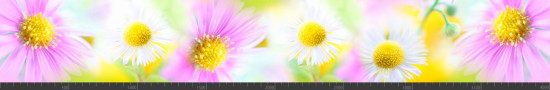 Стеновая панель фотопечать (цветы и растения) 144765