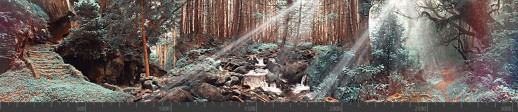 Стеновая панель фотопечать (панорамы природы) 103123