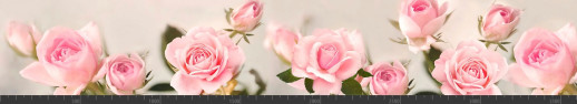 Стеновая панель фотопечать (цветы и растения) 104165