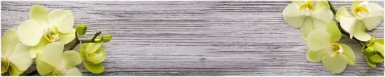 Серия Композит Глянцевые фартуки 3000*610*3мм КМ-09