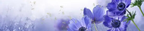 Серия Мерцание Композит Глянцевые фартуки 3000*610*3мм Анемона