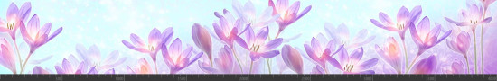 Стеновая панель фотопечать (цветы и растения) 144270