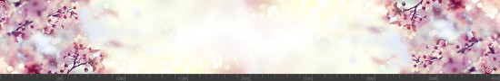 Стеновая панель фотопечать (цветы и растения) 144570