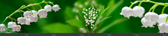 Стеновая панель фотопечать (цветы и растения) 104170