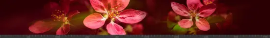 Стеновая панель фотопечать (цветы и растения) 144873