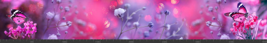 Стеновая панель фотопечать (животный мир) 145120