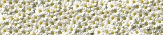 Стеновая панель Albico глянец SP-019