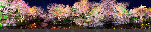 Стеновая панель фотопечать (панорамы природы) 103135
