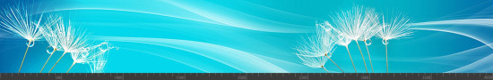 Стеновая панель фотопечать (цветы и растения) 144780