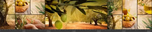 Стеновая панель фотопечать (кухонная тематика) 101148