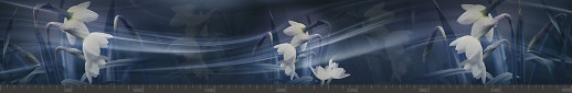 Стеновая панель фотопечать (цветы и растения) 144281