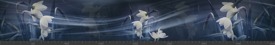 Стеновая панель фотопечать (цветы и растения) 144281