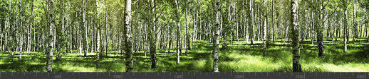Стеновая панель фотопечать (панорамы природы) 103141