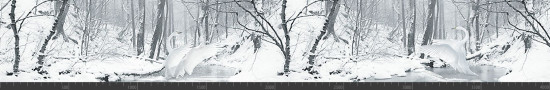 Стеновая панель фотопечать (животный мир) 145032