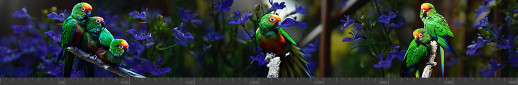 Стеновая панель фотопечать (животный мир) 145134