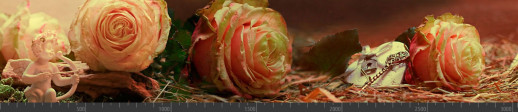 Стеновая панель фотопечать (цветы и растения) 104087