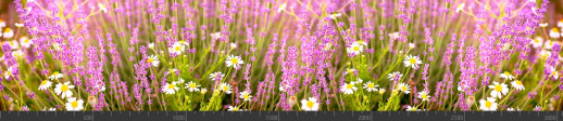 Стеновая панель фотопечать (цветы и растения) 104188