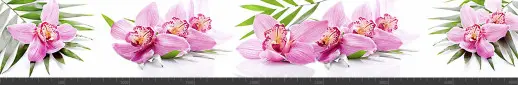 Стеновая панель фотопечать (цветы и растения) 144591