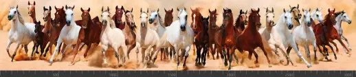 Стеновая панель фотопечать (животный мир) 105002