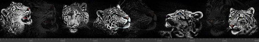 Стеновая панель фотопечать (животный мир) 145139
