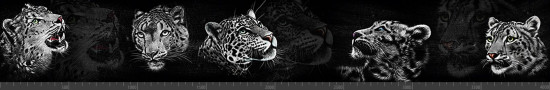 Стеновая панель фотопечать (животный мир) 145139