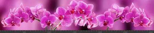 Стеновая панель фотопечать (цветы и растения) 104092