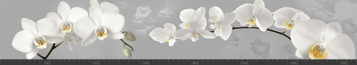 Стеновая панель фотопечать (цветы и растения) 104192