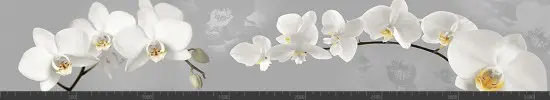 Стеновая панель фотопечать (цветы и растения) 104192