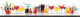 Стеновая панель фотопечать (кухонная тематика) 101061
