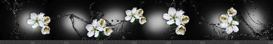 Стеновая панель фотопечать (цветы и растения) 144397