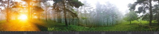 Стеновая панель фотопечать (панорамы природы) 103055