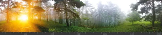 Стеновая панель фотопечать (панорамы природы) 103055