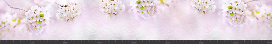 Стеновая панель фотопечать (цветы и растения) 144598