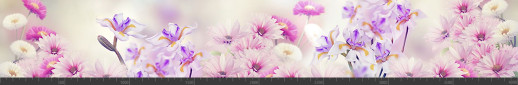 Стеновая панель фотопечать (цветы и растения) 144299