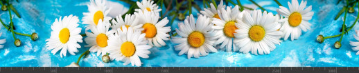 Стеновая панель фотопечать (цветы и растения) 104199