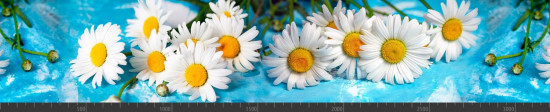 Стеновая панель фотопечать (цветы и растения) 104199