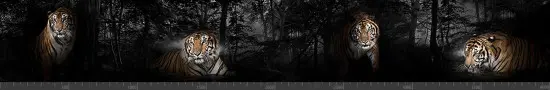 Стеновая панель фотопечать (животный мир) 145147